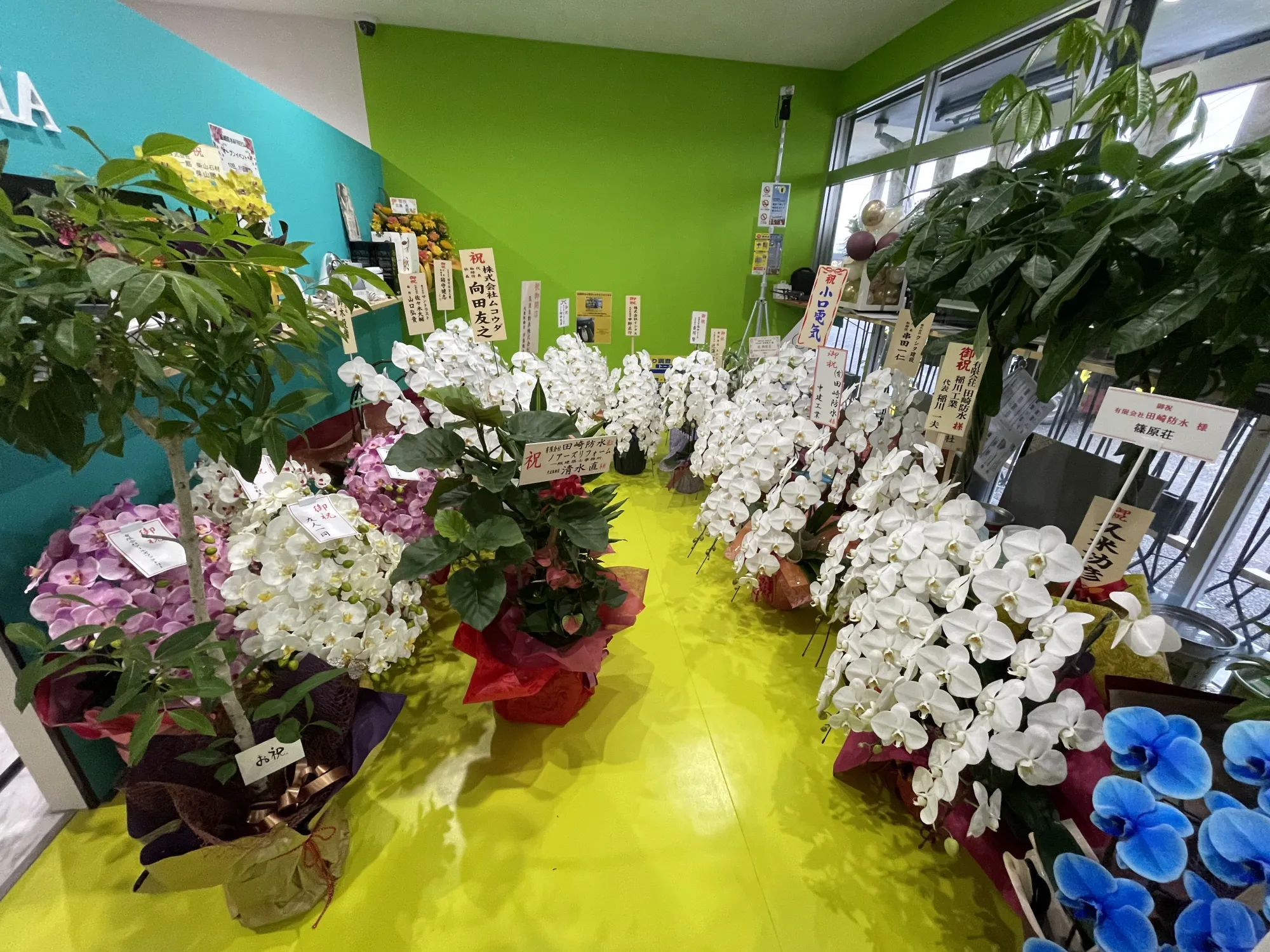 雨もり119下妻南店（有限会社田崎防水）の画像4