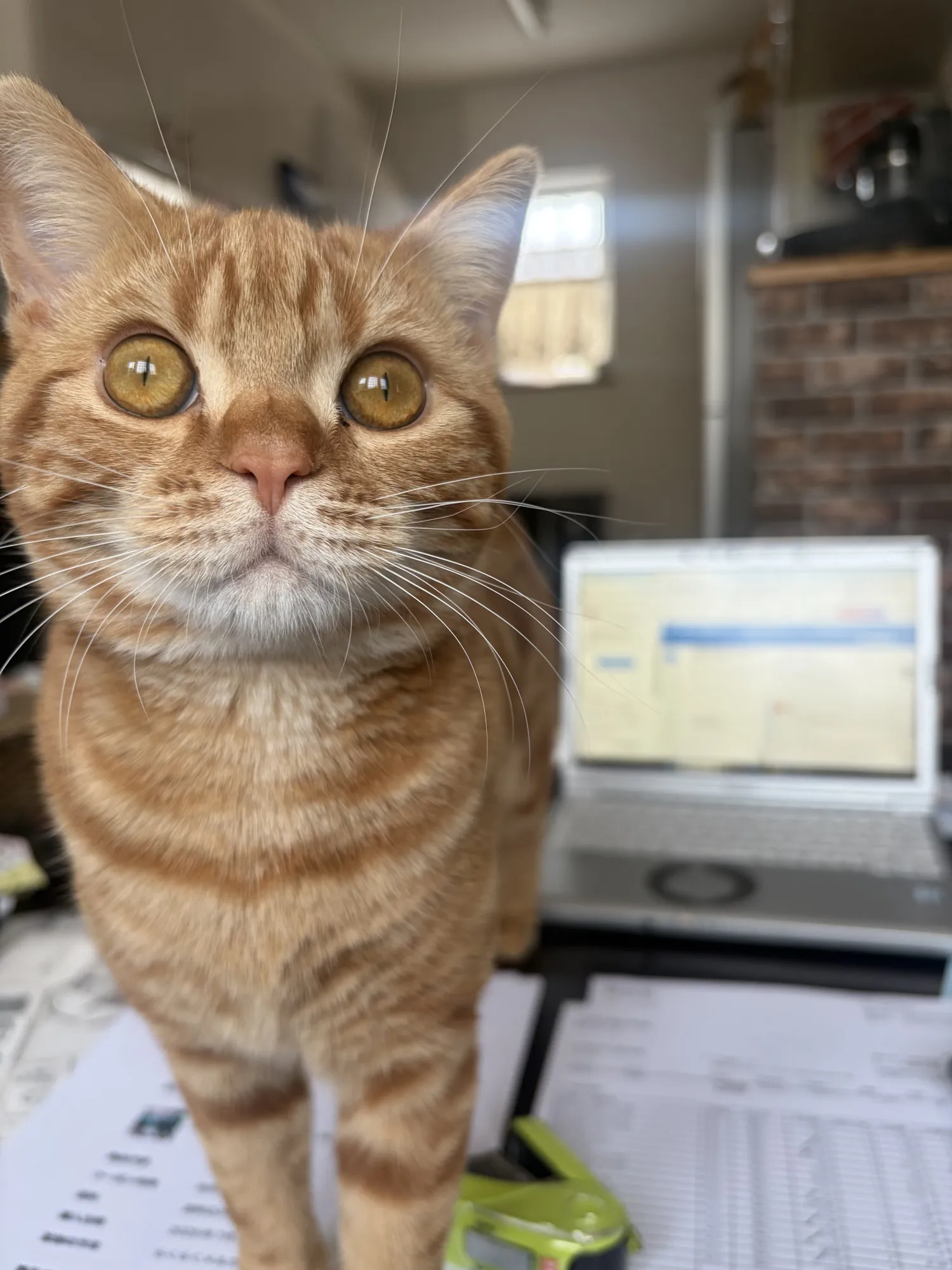 ガルバ工業の画像5