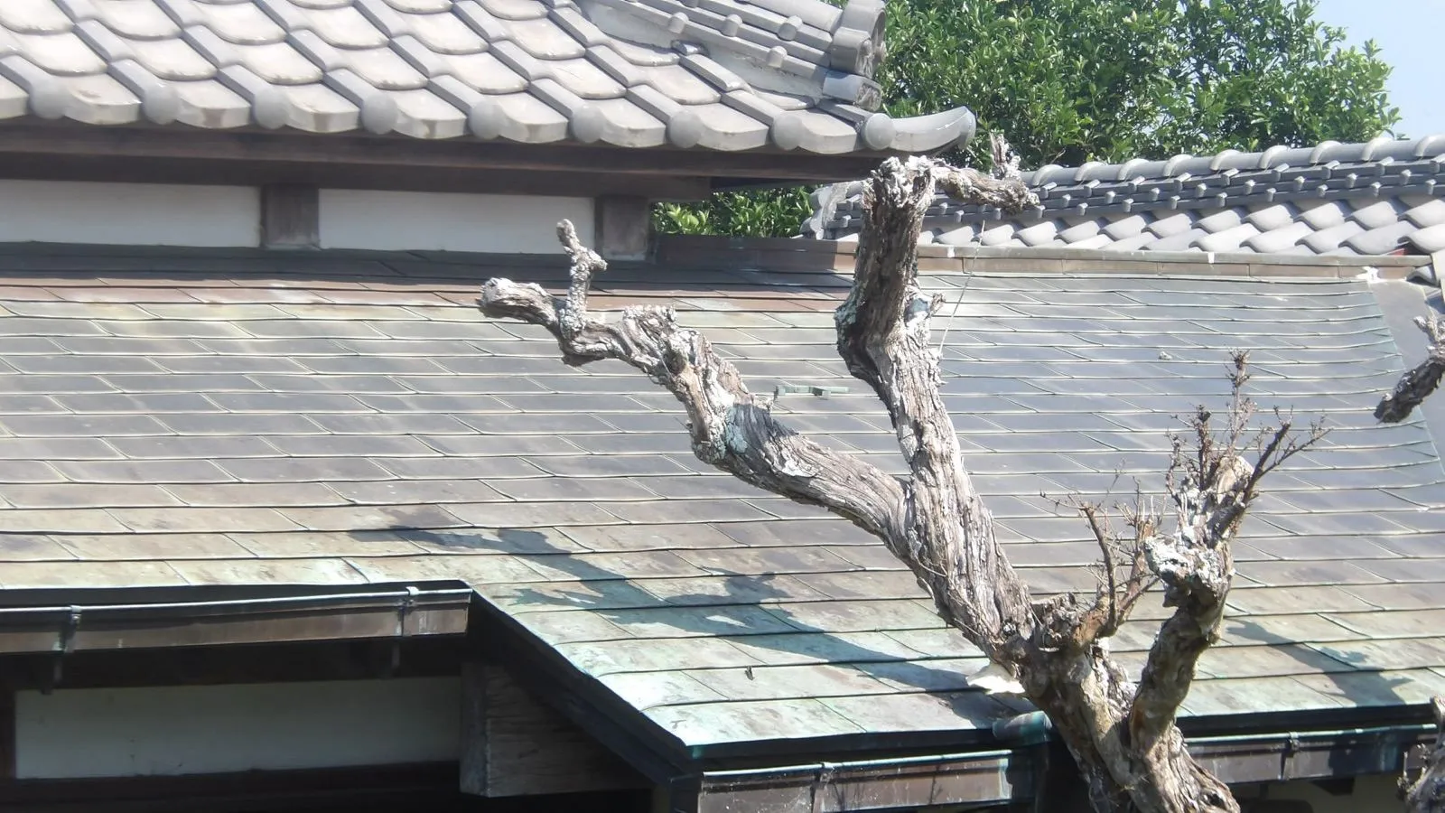 【屋根葺き替え】雨漏りしていた銅板屋根をガルバリウム鋼板の屋根に葺き替えました - 施工前