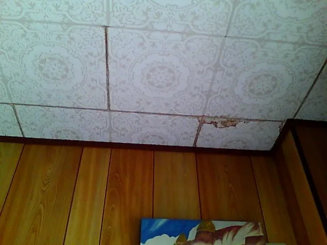 目に見えない雨漏り‪💦‬ - 施工前