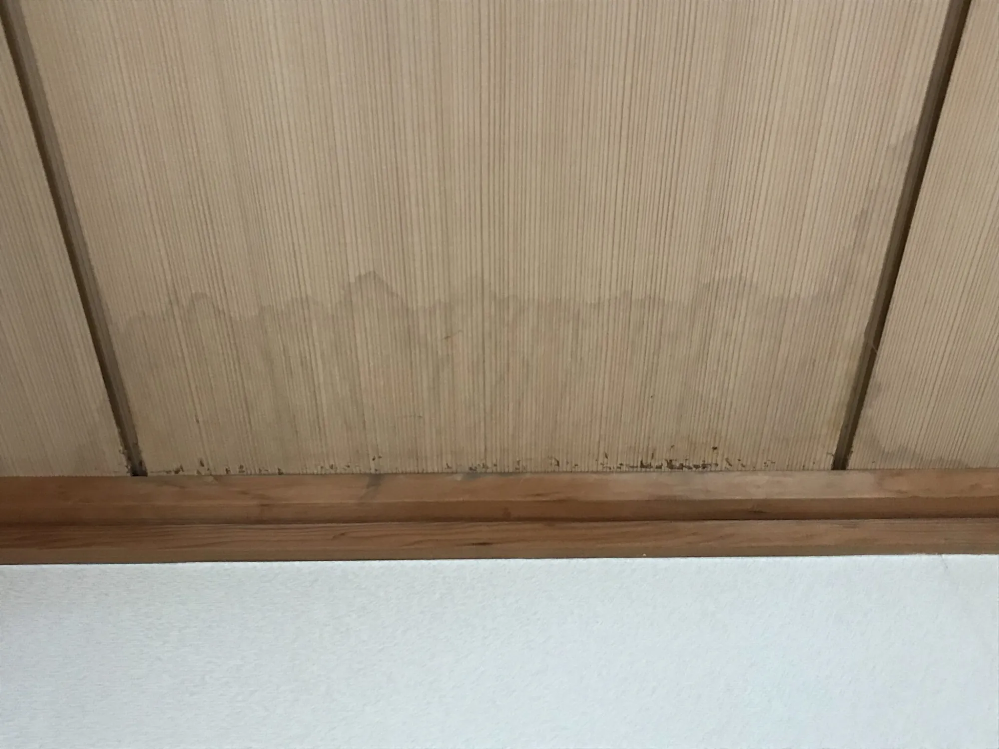 施工中・その他