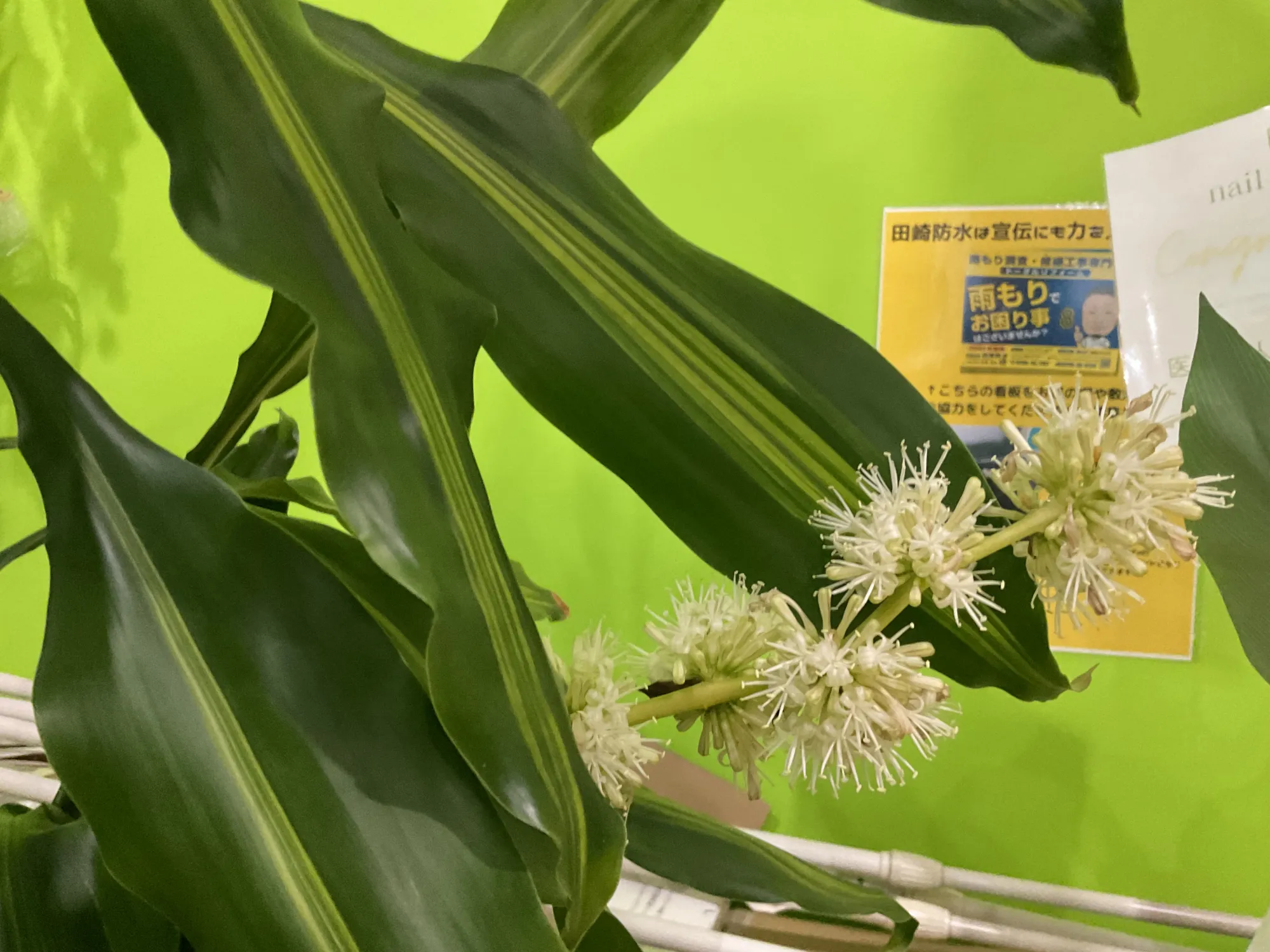 商売大繁盛 - 施工後