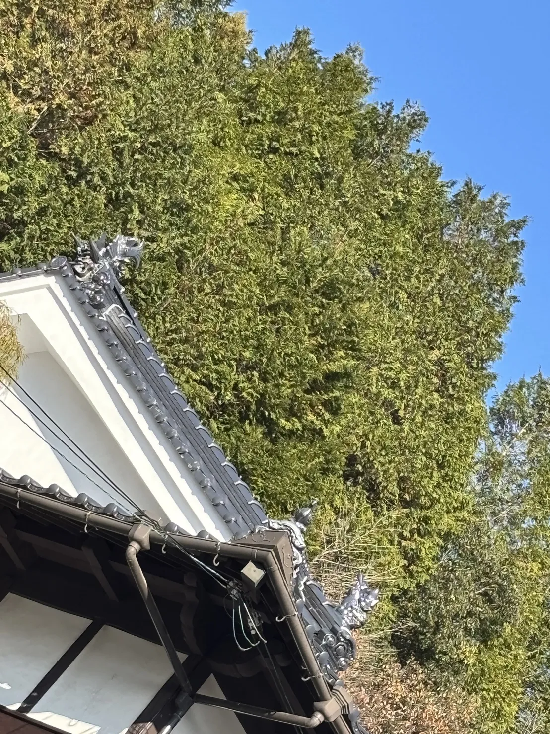 施工中・その他
