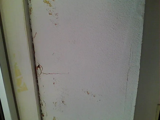 赤外線カメラで浸入水確認‼️ - 施工前