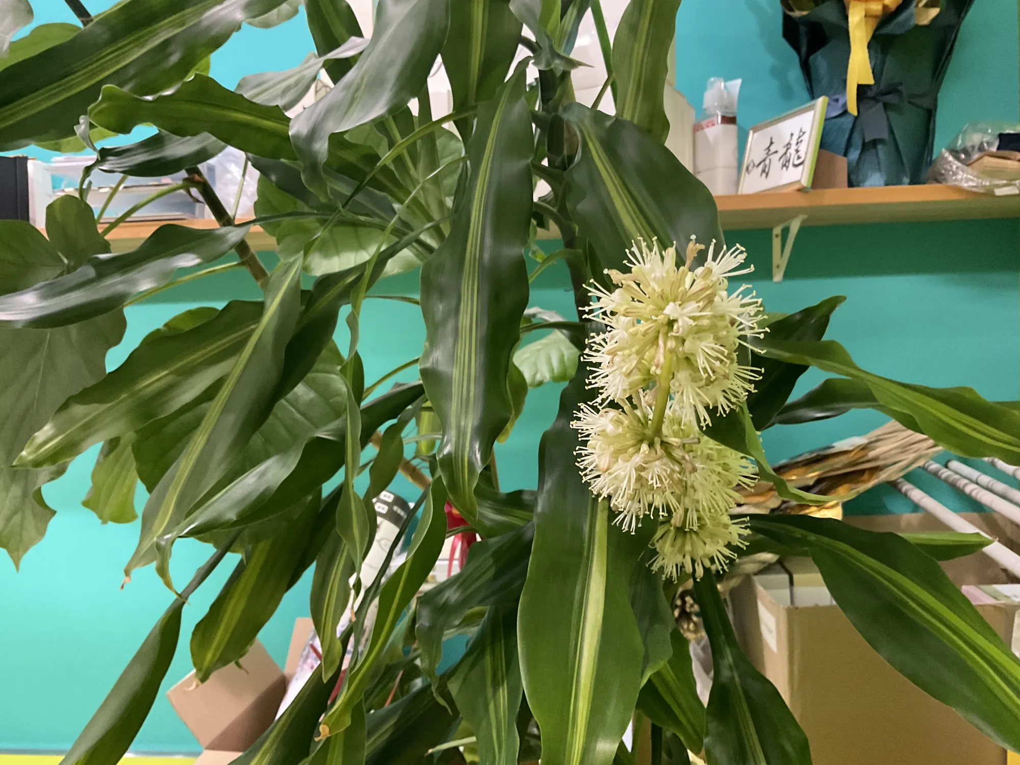 施工中・その他