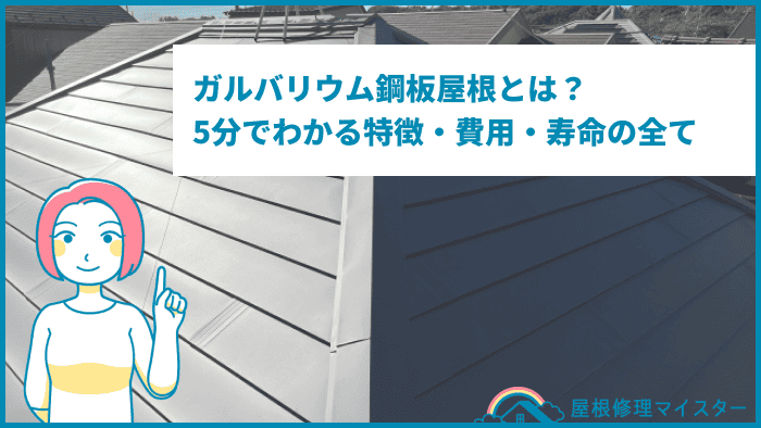 ガルバリウム鋼板屋根とは?5分でわかる特徴・費用・寿命の全て ガルバリウム鋼板屋根とは?5分でわかる特徴・費用・寿命の全て